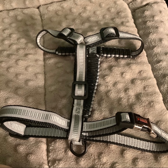 Kong on the go adjustable paracord Reflective Harness, Small, 16-24”NWOT - Picture 13 of 13